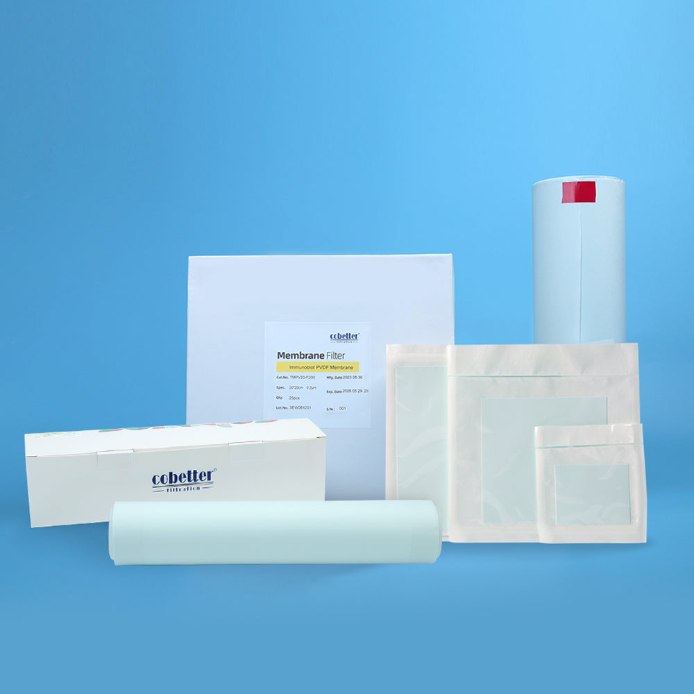 0.45µm PVDF Transfer Membranes for Western Blot