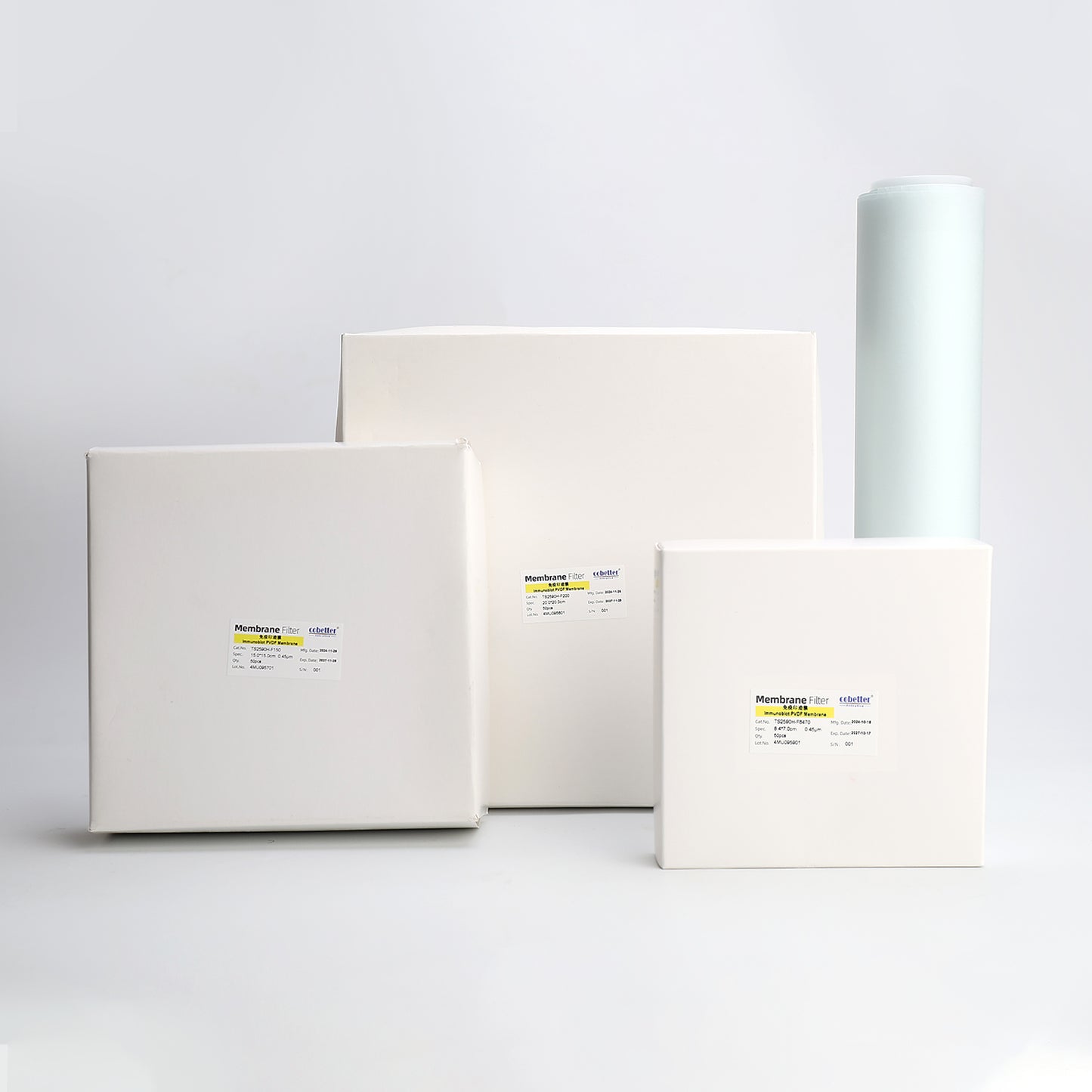 0.45µm PVDF Transfer Membranes for Western Blot