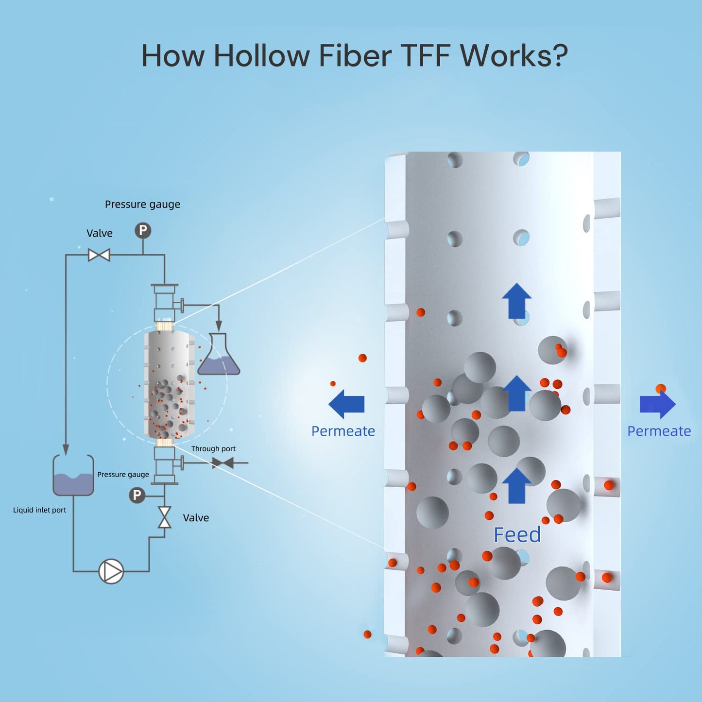 Lab Hollow Fiber Filter TFF mPES Membrane, Ultrafiltration, 1/pk