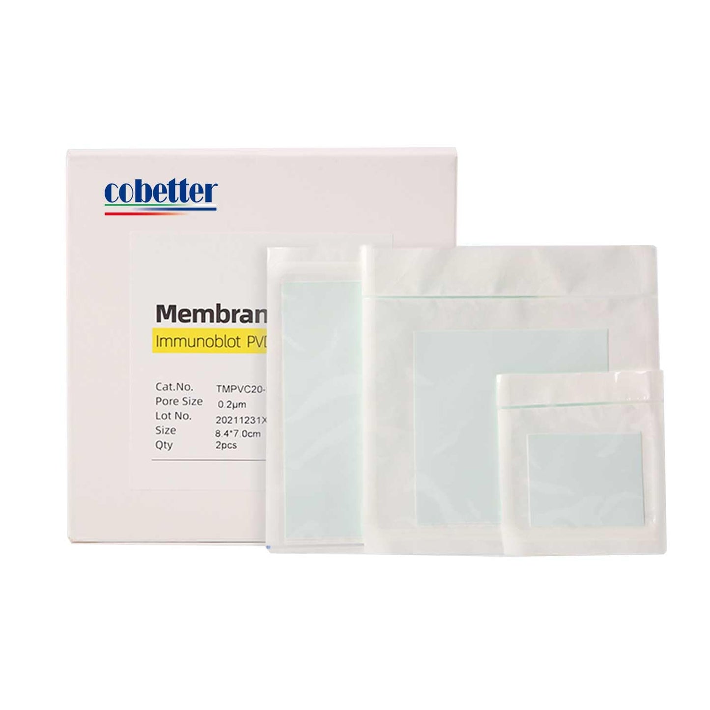 0.45µm PVDF Transfer Membranes for Western Blot