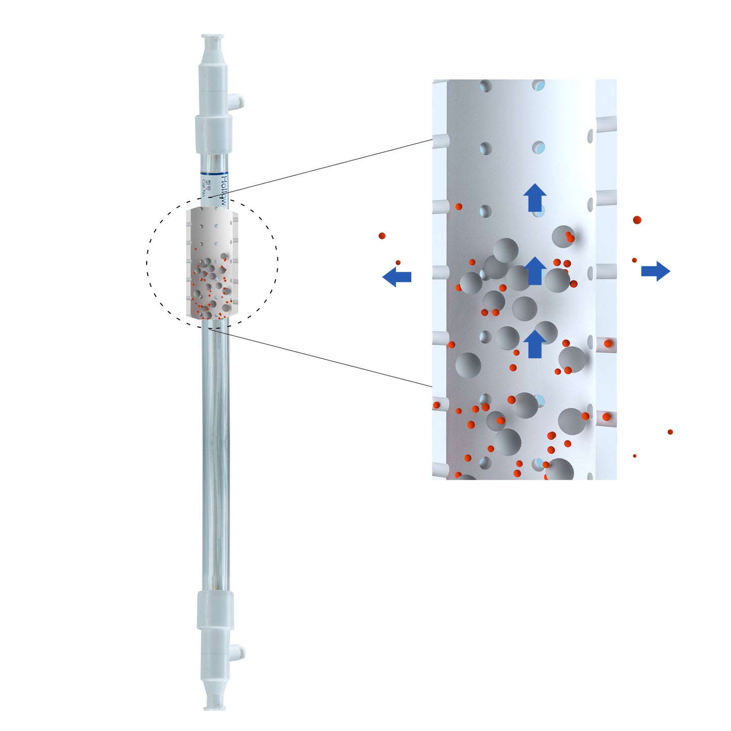 0.5mm Lab Hollow Fiber TFF mPES Ultrafiltration Membrane