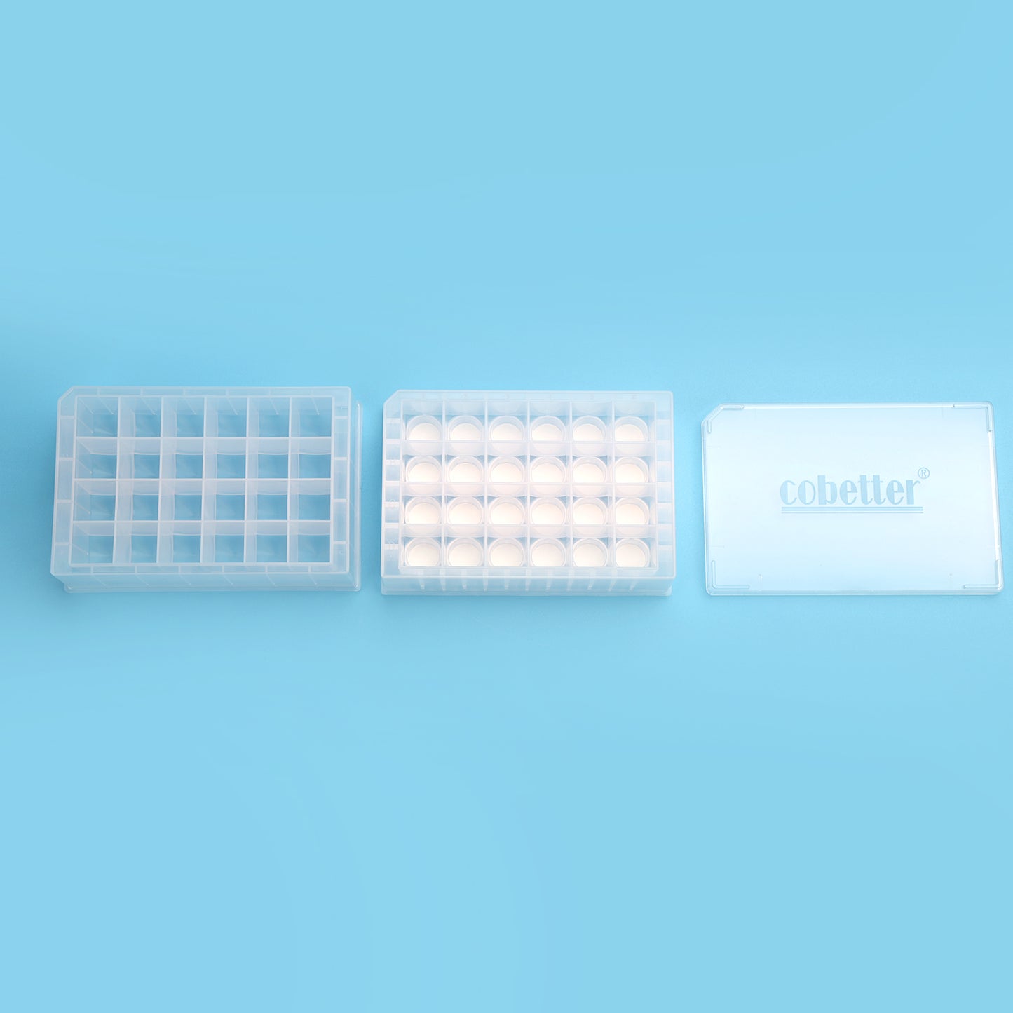 24-well Filter Plate, Pultrix™ XQ Anion Exchange Membrane, with Receiver Plate and Lid, Individually Packaged