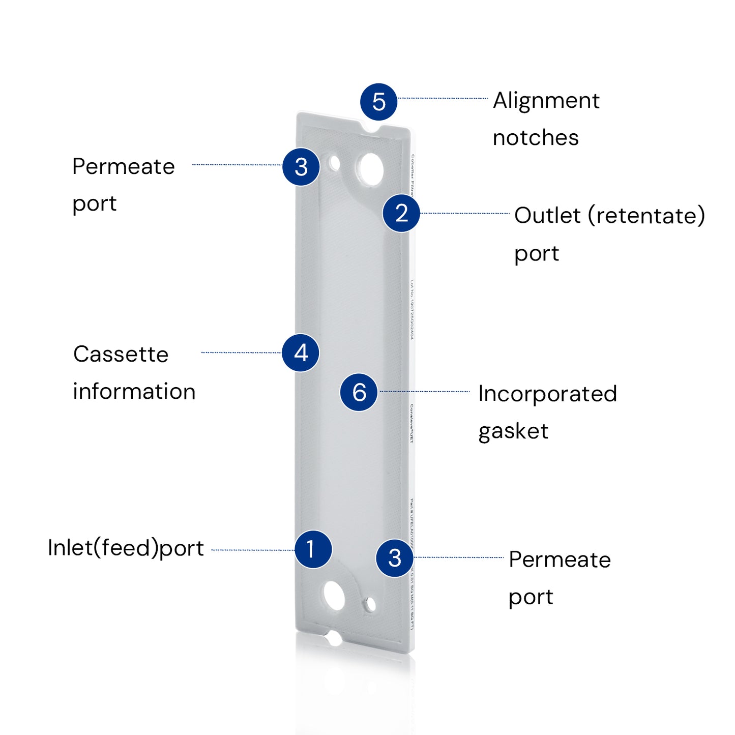 TFF Cassette structure details